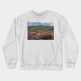 WGC_2467b Crewneck Sweatshirt